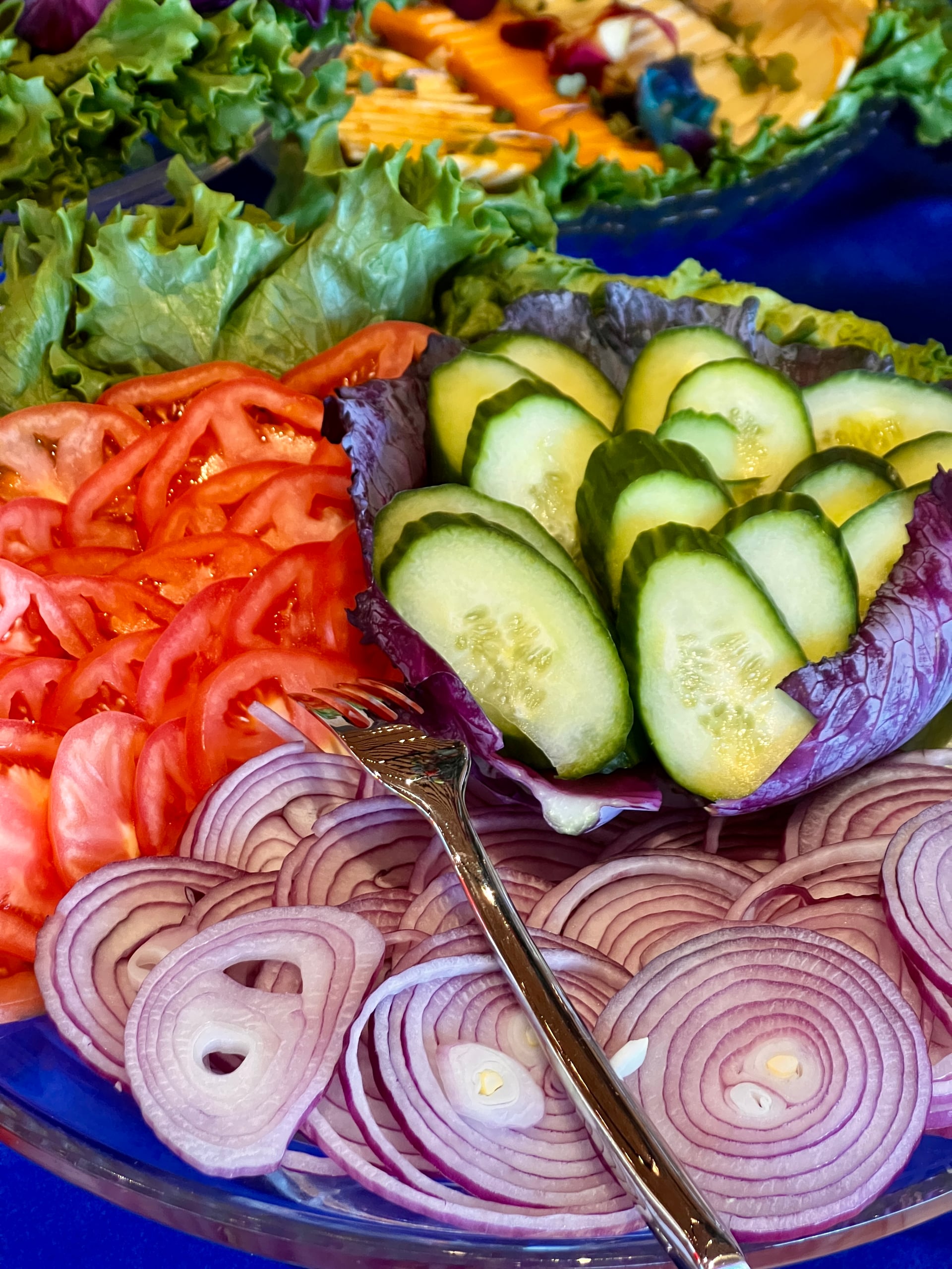 Picnic Style Catering for Outdoor Events